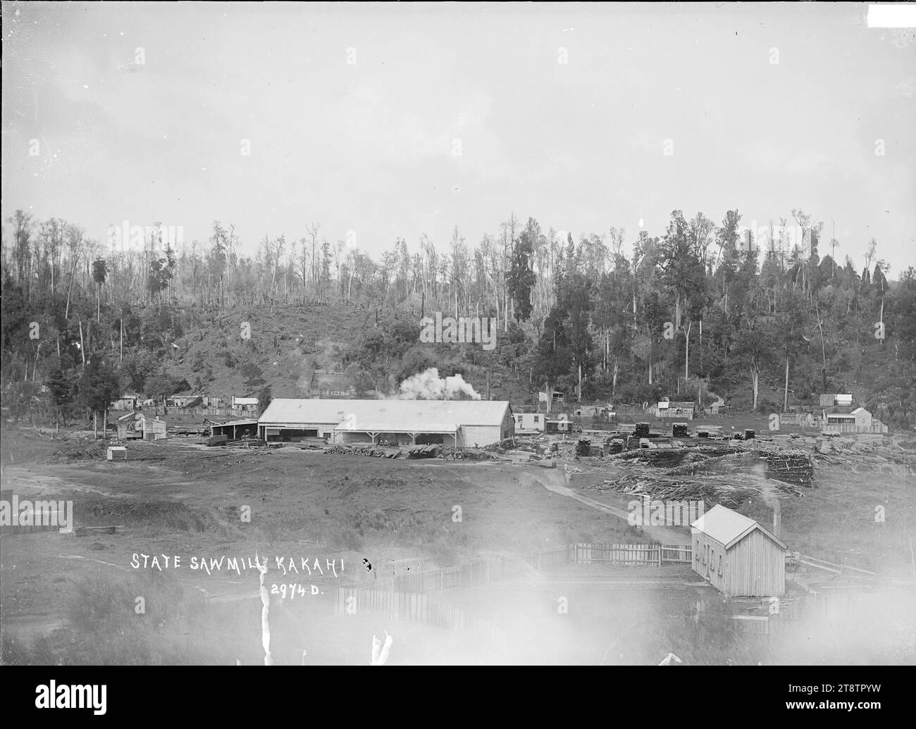 State Sawmill at Kakahi, View of the State Sawmill at Kakahi, circa ...