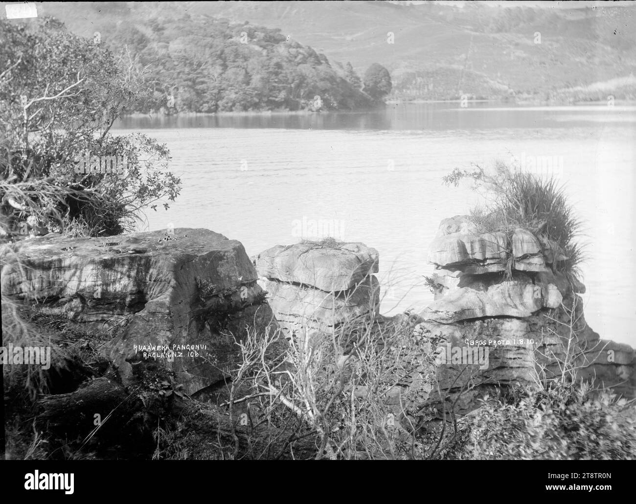 Ruaweka, Ponganui in the vicinity of Raglan, New Zealand, 1910, Ruaweka