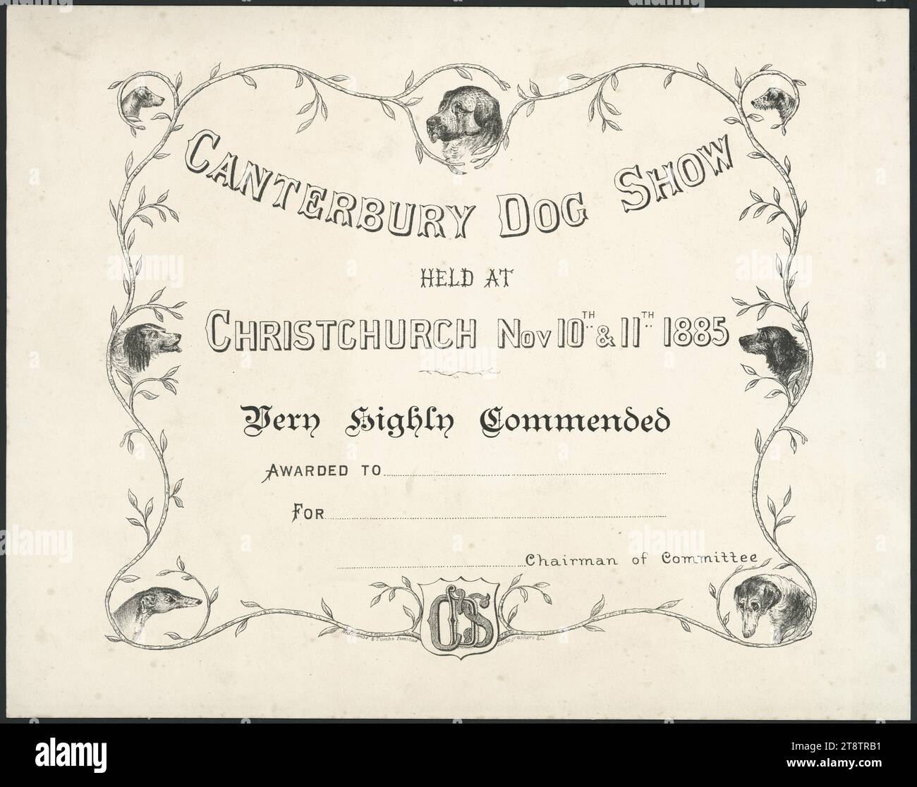 L, D M, fl ca 1885-1886: Canterbury Dog Show held at Christchurch, New Zealand, Nov 10th & 11th 1885. Very highly commended. Awarded to ... for .., .. Chairman of Committee / D M L. Whitcombe & Tombs Limited, lithographers, &c 1885, A blank certificate, featuring a leafy border, with heads of various breeds of dogs, seven in number Stock Photo