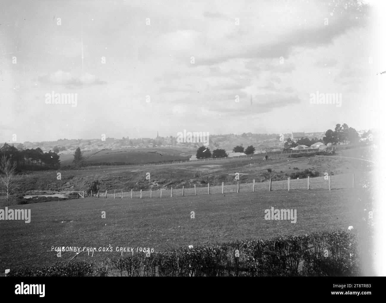General view of Ponsonby from Cox's Creek looking east, View of
