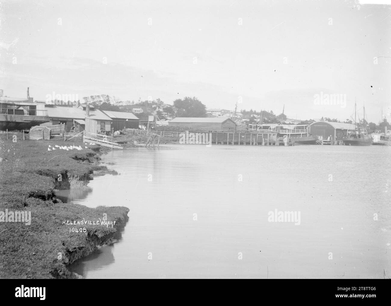 The wharf at Helensville, View of the wharf showing the goods shed and