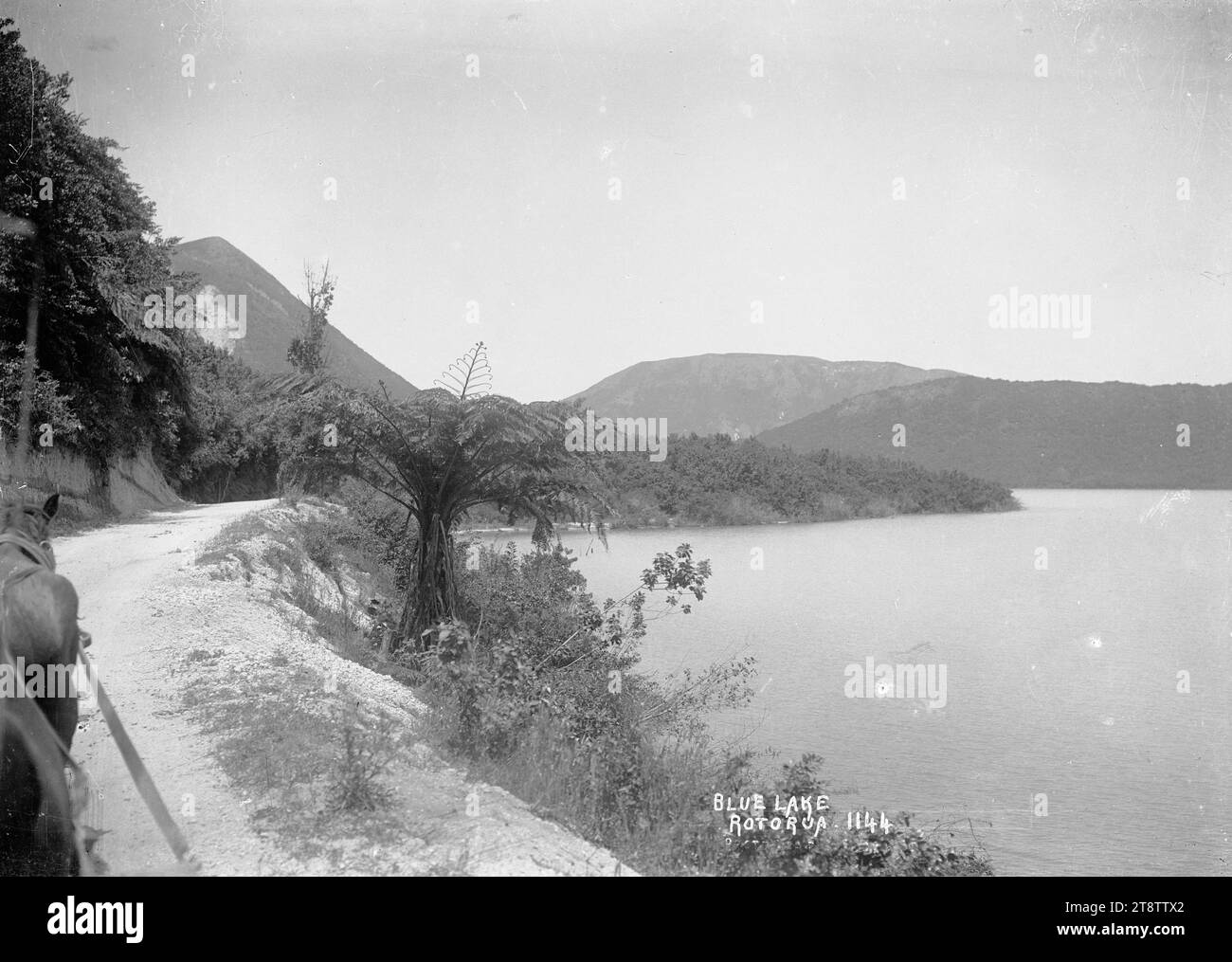 Blue Lake, Rotorua, View of Lake Tikitapu, known as the Blue Lake
