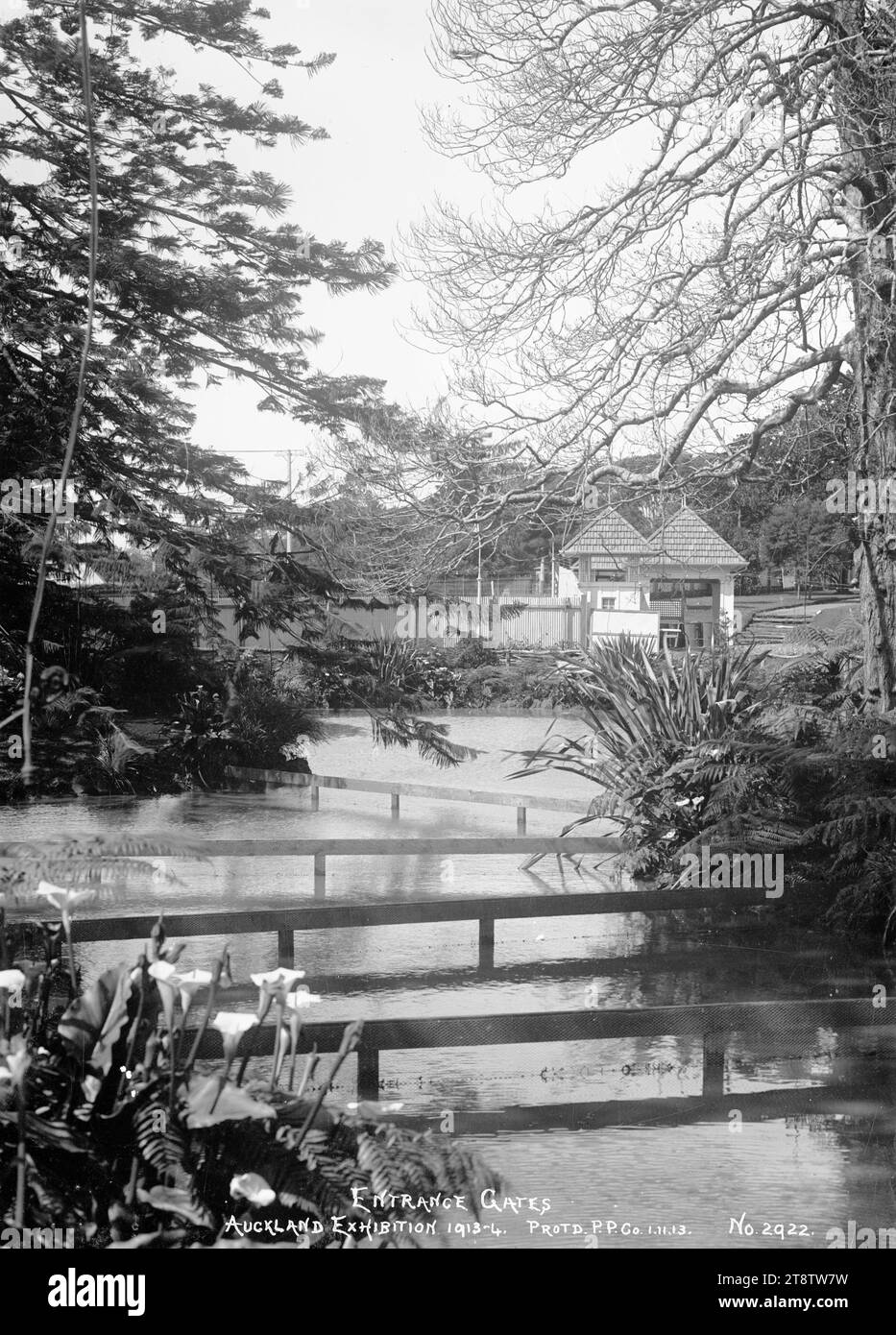 Entrance gates to the Auckland, New Zealand Exhibition, View taken looking across the ornamental pond towards the entrance way to the exhibition area in the Auckland, New Zealand Domain. Arum lilies, flax plants and trees can be seen growing beside the edge of the pond. P, 1 Nov 1913 Stock Photo