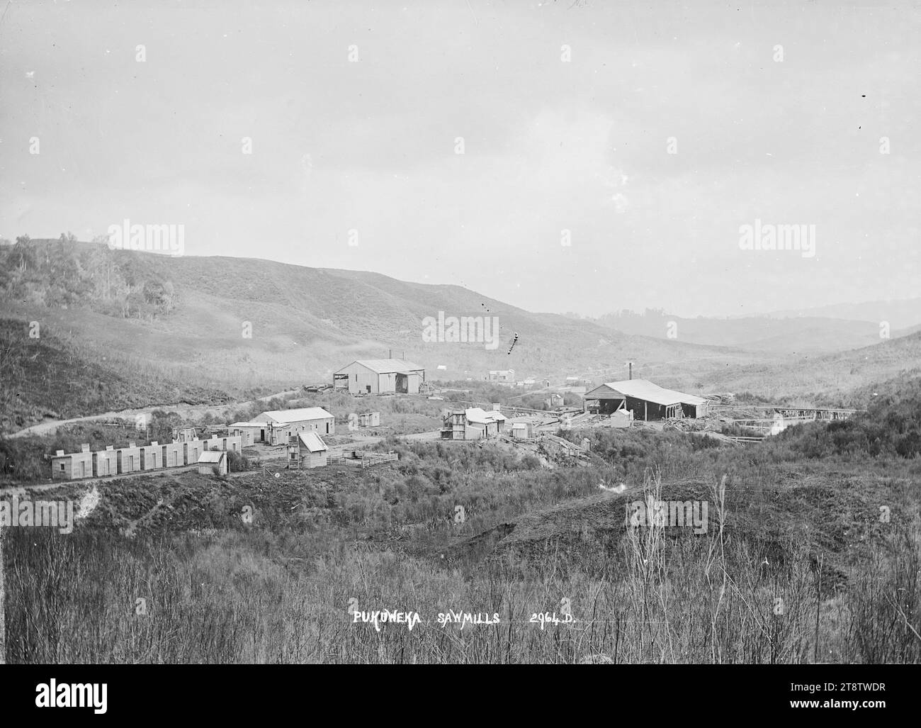 Pukuweka Sawmills at Manunui, General view of the Pukuweka Sawmill at