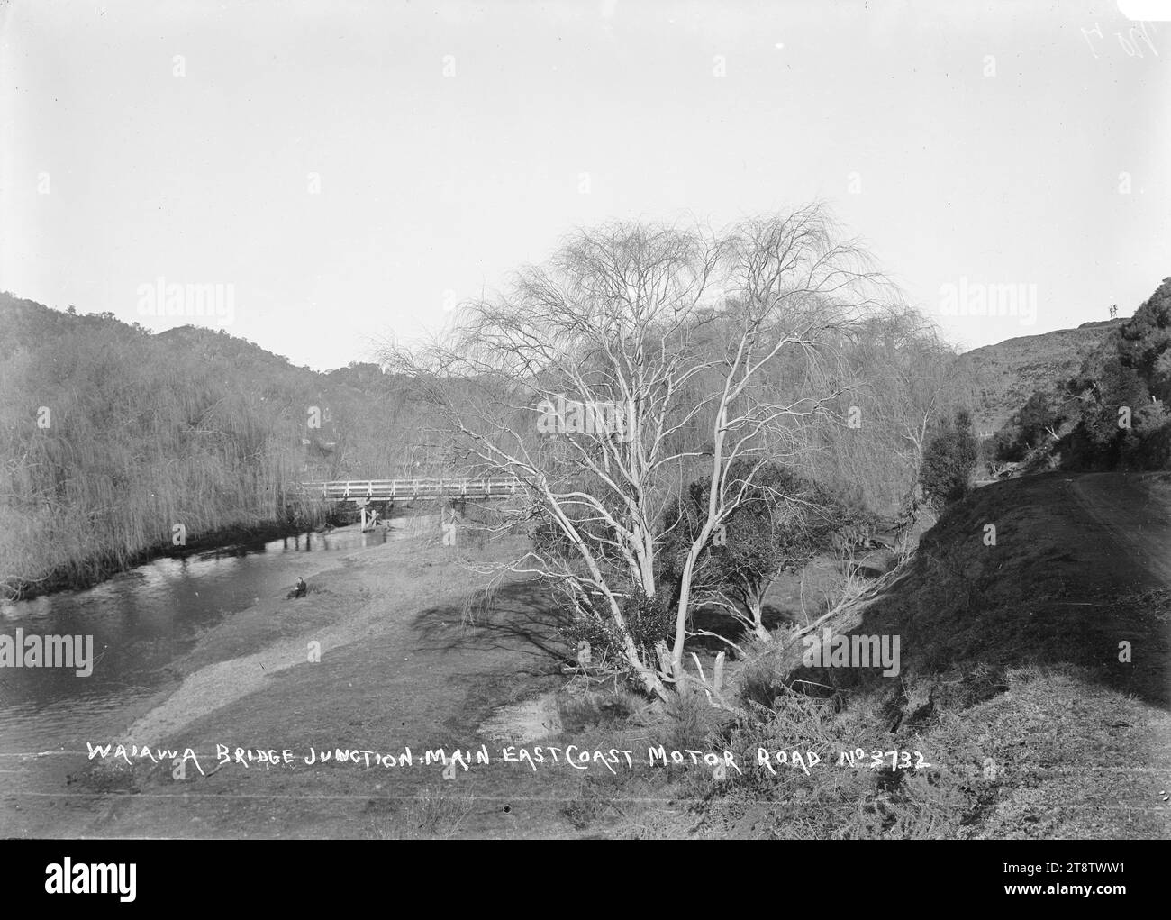 Waiaua Bridge Junction on the main East Coast Road, Bay of Plenty, View of the river with the road bridge in the middle distance. A man is sitting on the river bank. in early 1900s Stock Photo