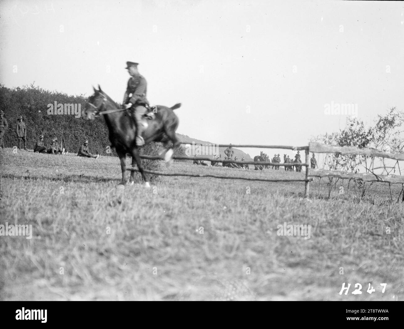 A horse and rider clear a jump at the Anzac Horse Show, World War I, A horse and rider clear a jump in the jumping competition at the Anzac Horse Show during World War I. Photograph taken France 15 September 1917 Stock Photo