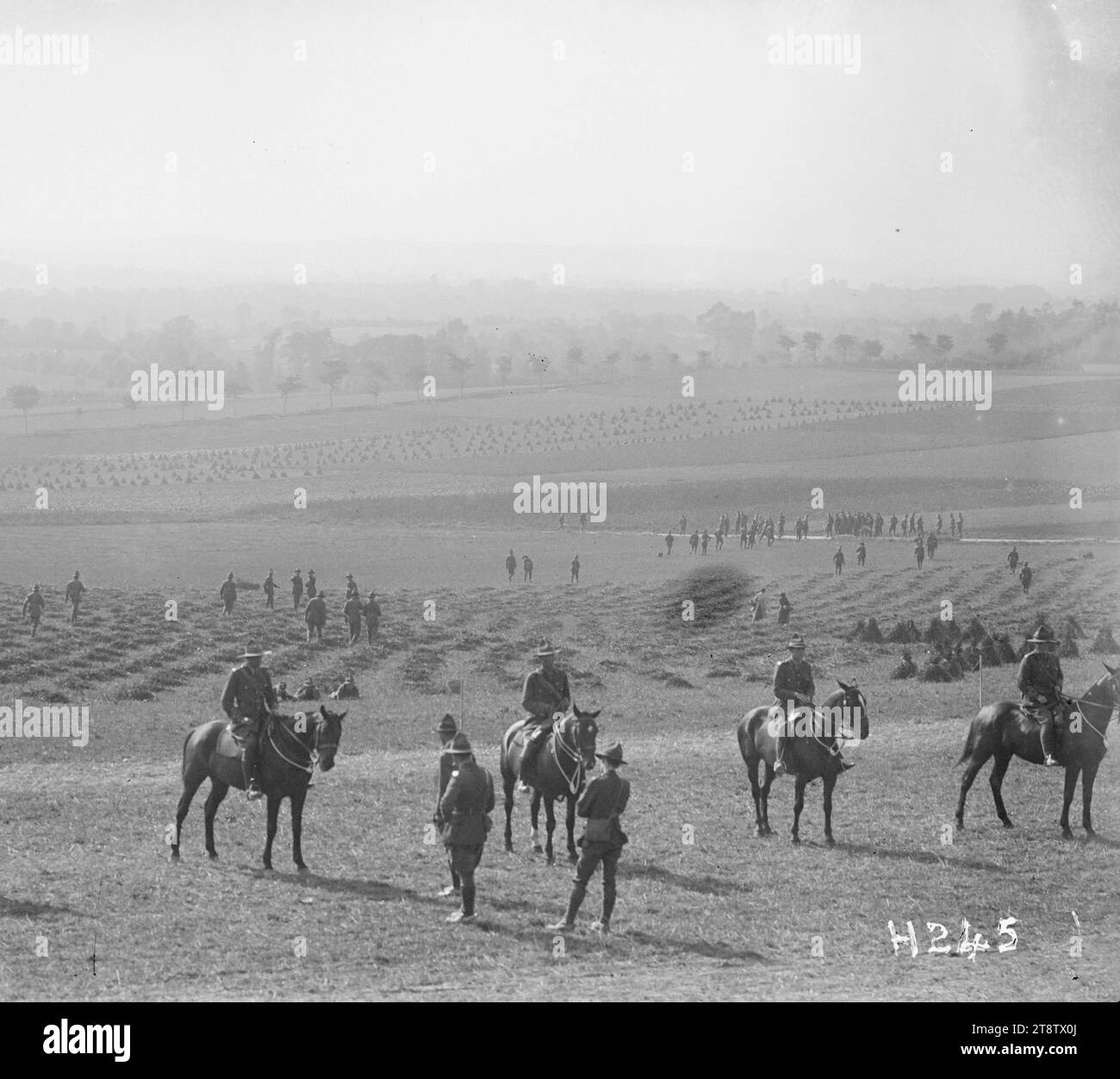 New Zealand troops at the Anzac Horse Show, World War I, A general view of New Zealand competitors being judged at the Anzac Horse Show during World War I. Beyond them soldiers walk in grassy fields. A wood appears in the distance. Photograph taken France 15 September 1917 Stock Photo
