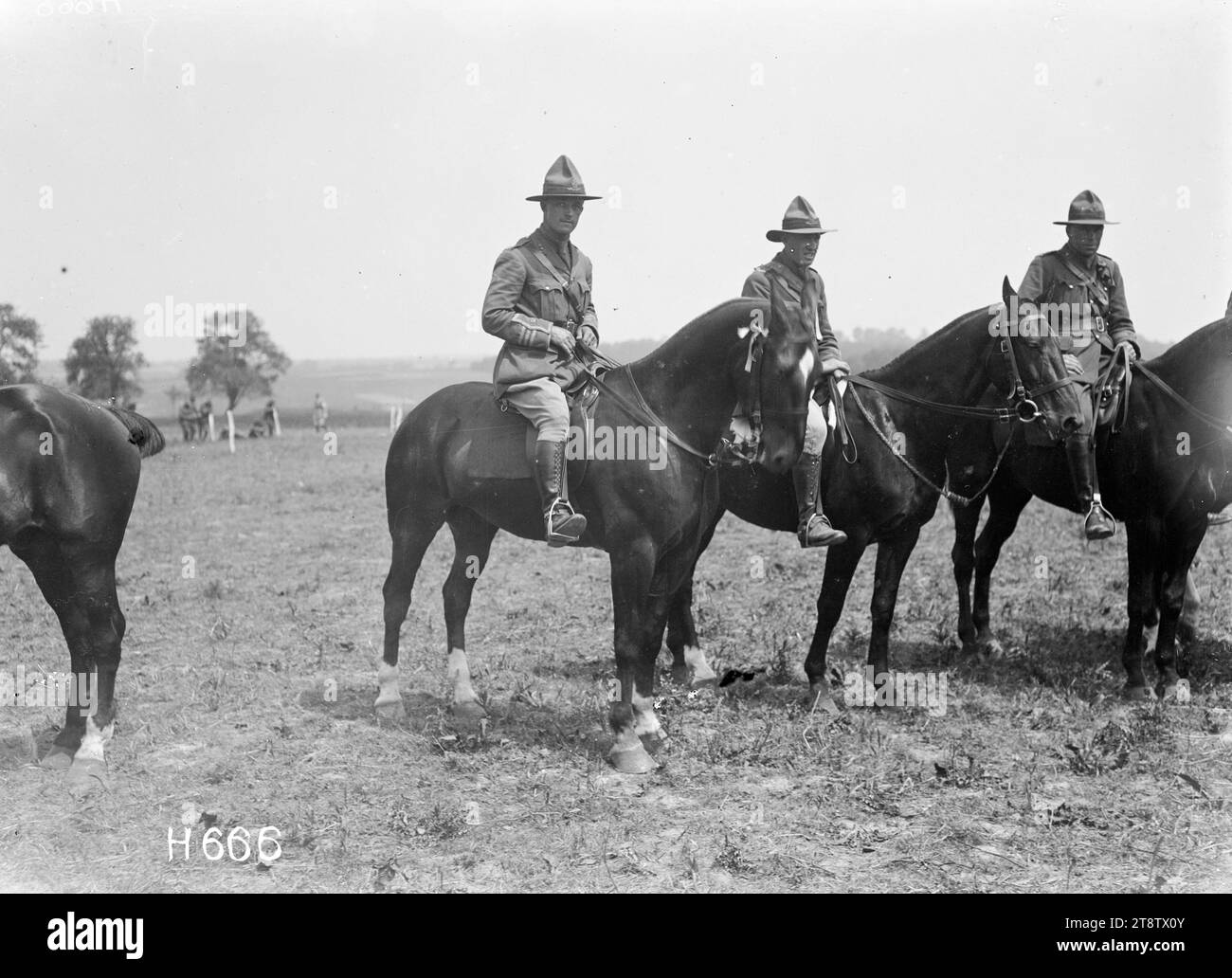 Winner of the Officers' Charger Class, New Zealand Divisional horse show, Courcelles, The winning team of the Officers' Charger Class at the New Zealand Divisional horse show in Courcelles, France, during World War I. Rider and horse are shown with other entrants. Photograph taken 3 June 1918 Stock Photo