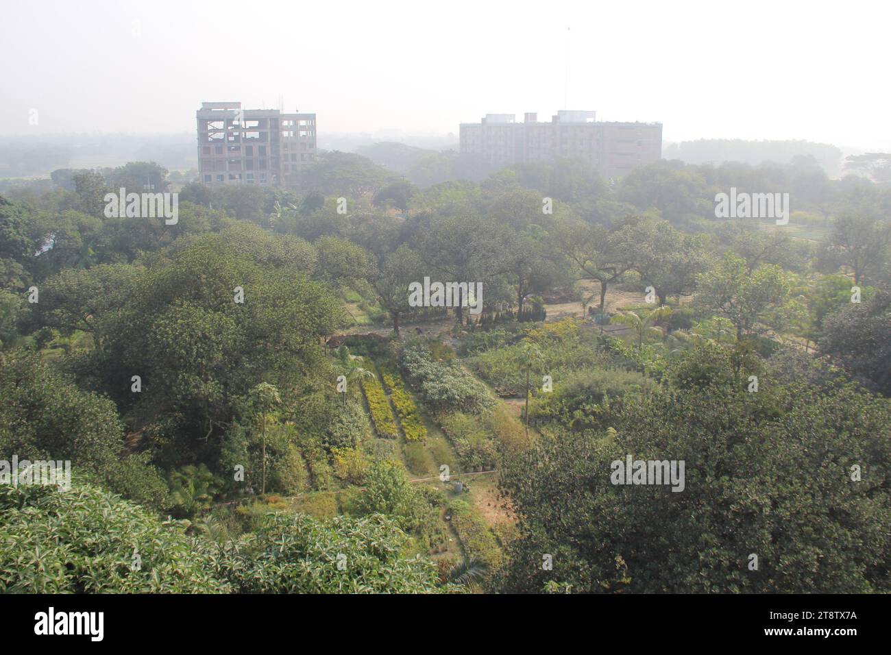 Daffodil University, Dhaka, Dhaka, Bangladesh Stock Photo Alamy
