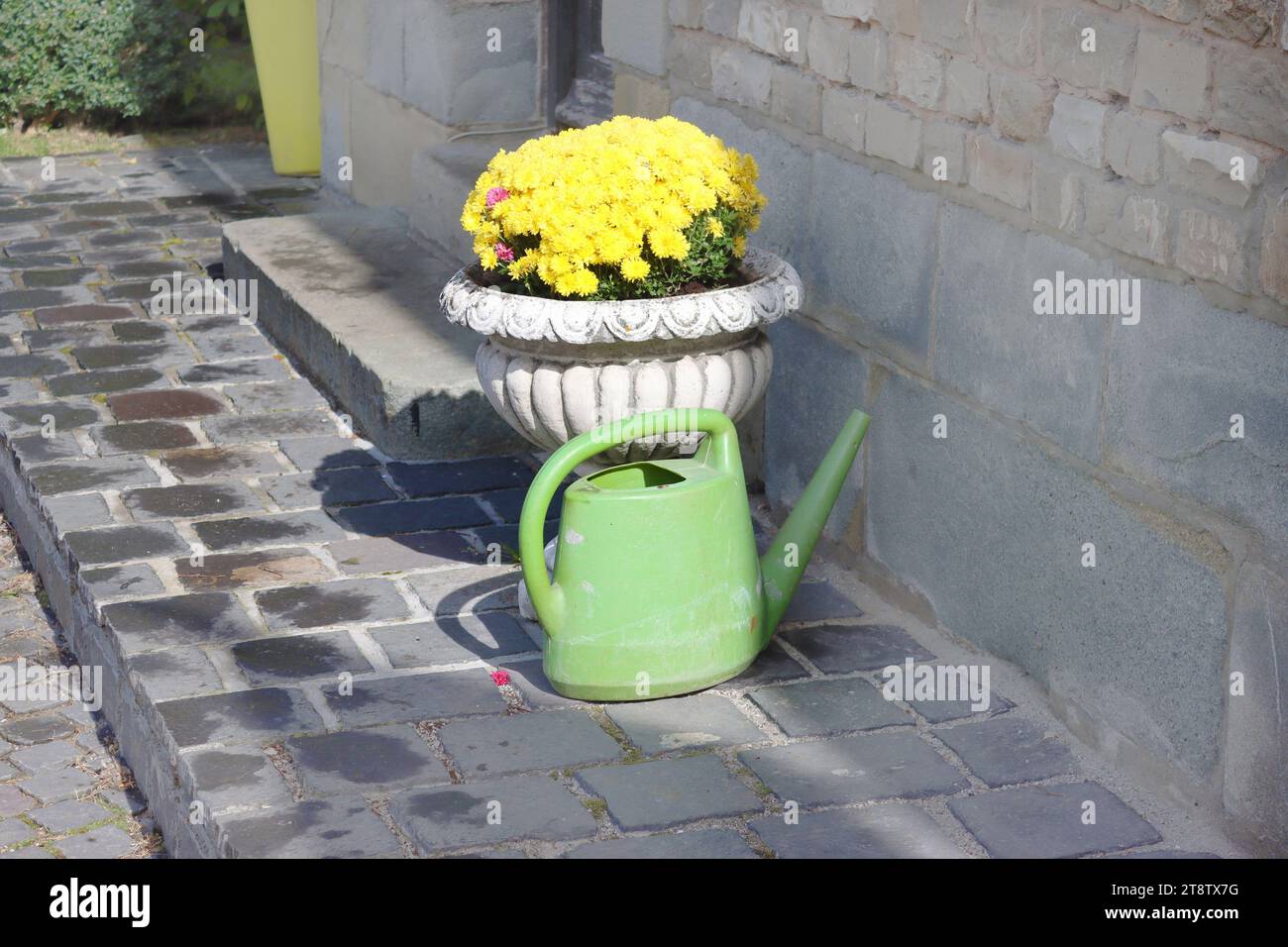 Bright flowers in a vase and watering can in Cantacuzino Castle, Busteni, Romania Stock Photo