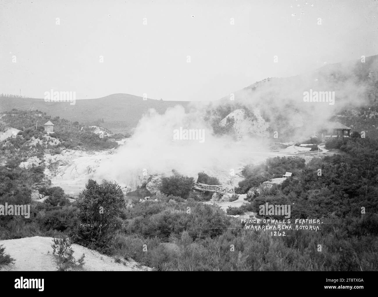 Prince of Wales Feathers Geyser, Whakarewarewa, New Zealand, 1908 Stock Photo