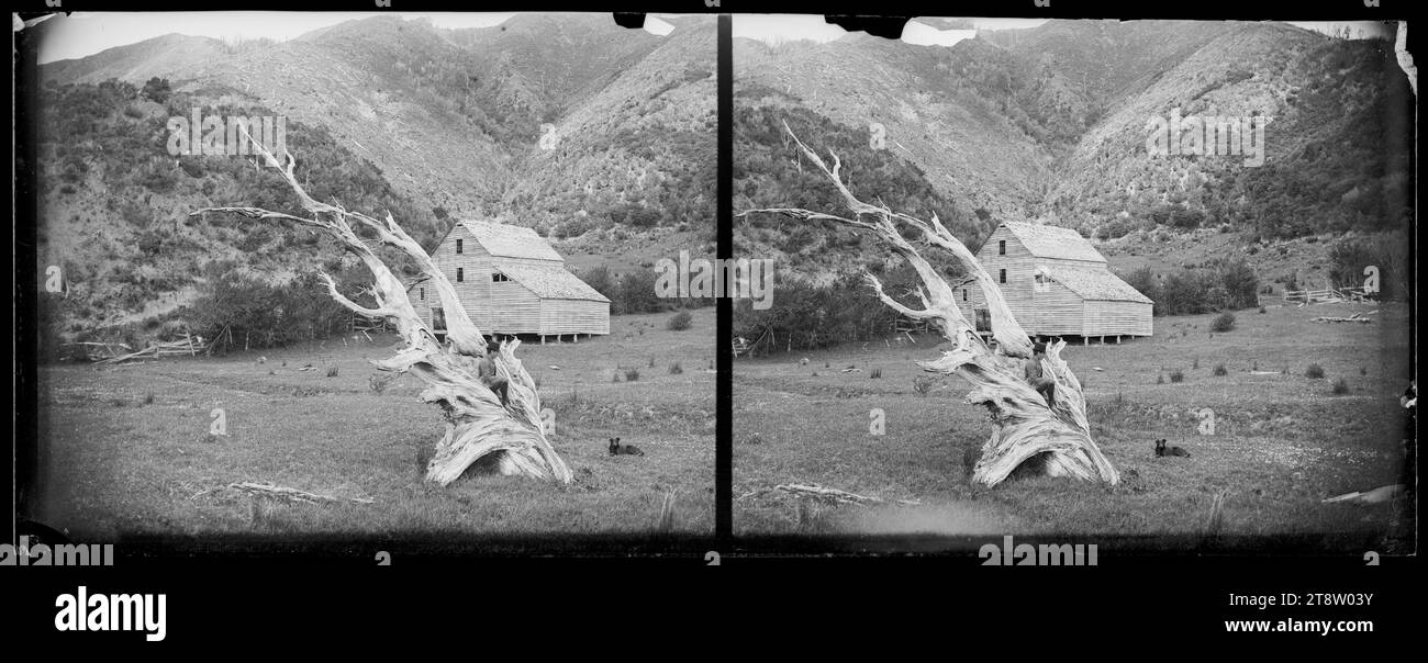 Scene at Waiwhetu, Lower Hutt, with weathered tree stump and Willcox's flour mill, ca 1885 Stock