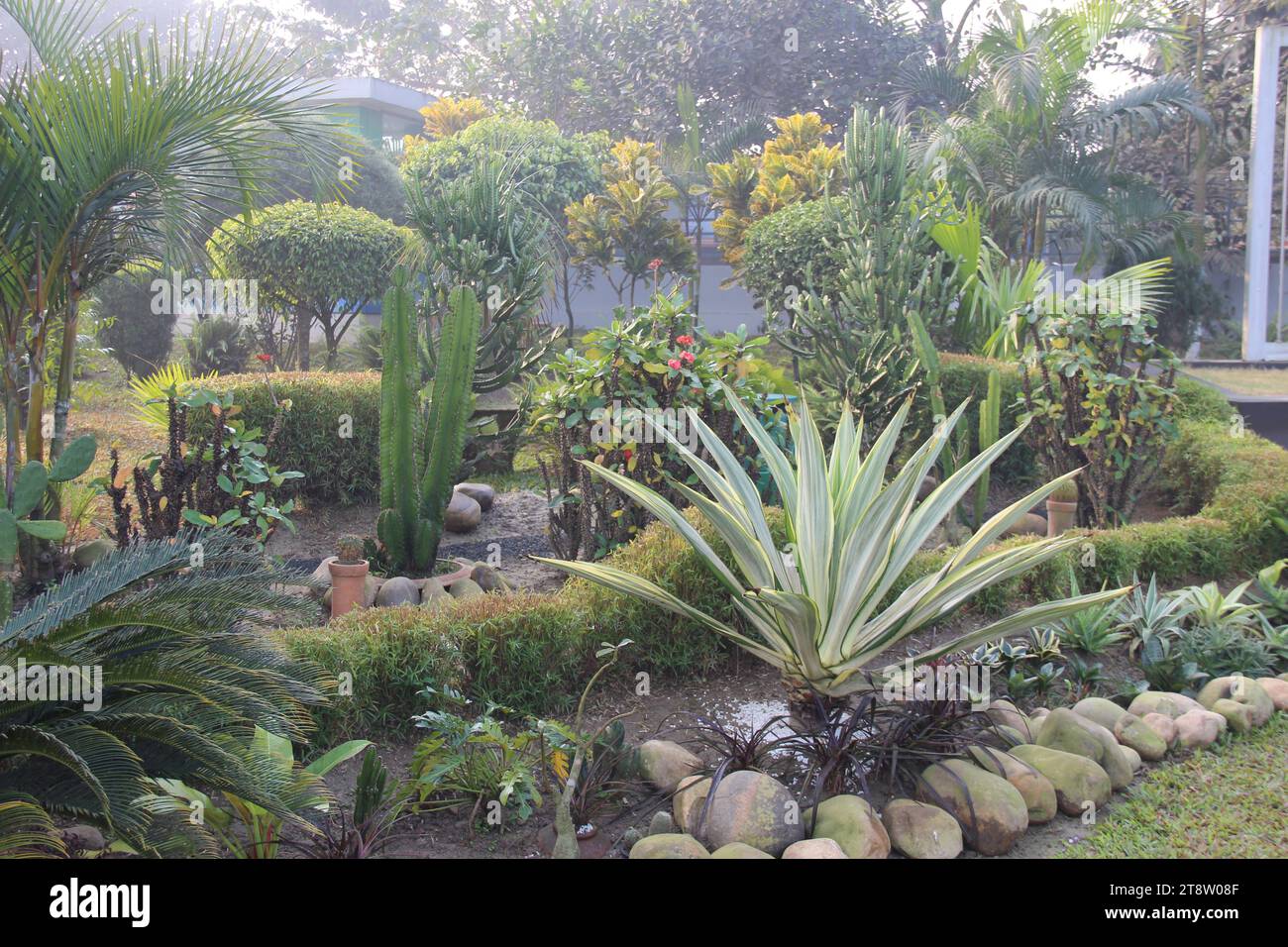 Daffodil University, Dhaka, Dhaka, Bangladesh Stock Photo Alamy