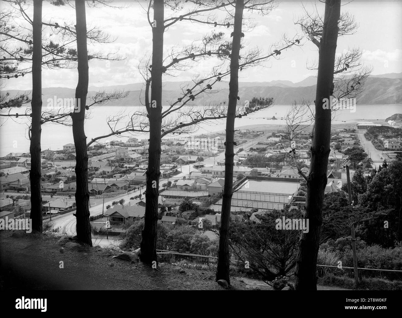 Looking through pine trees, over the suburb of Seatoun, Wellington, New Zealand, 1938-9 Stock Photo