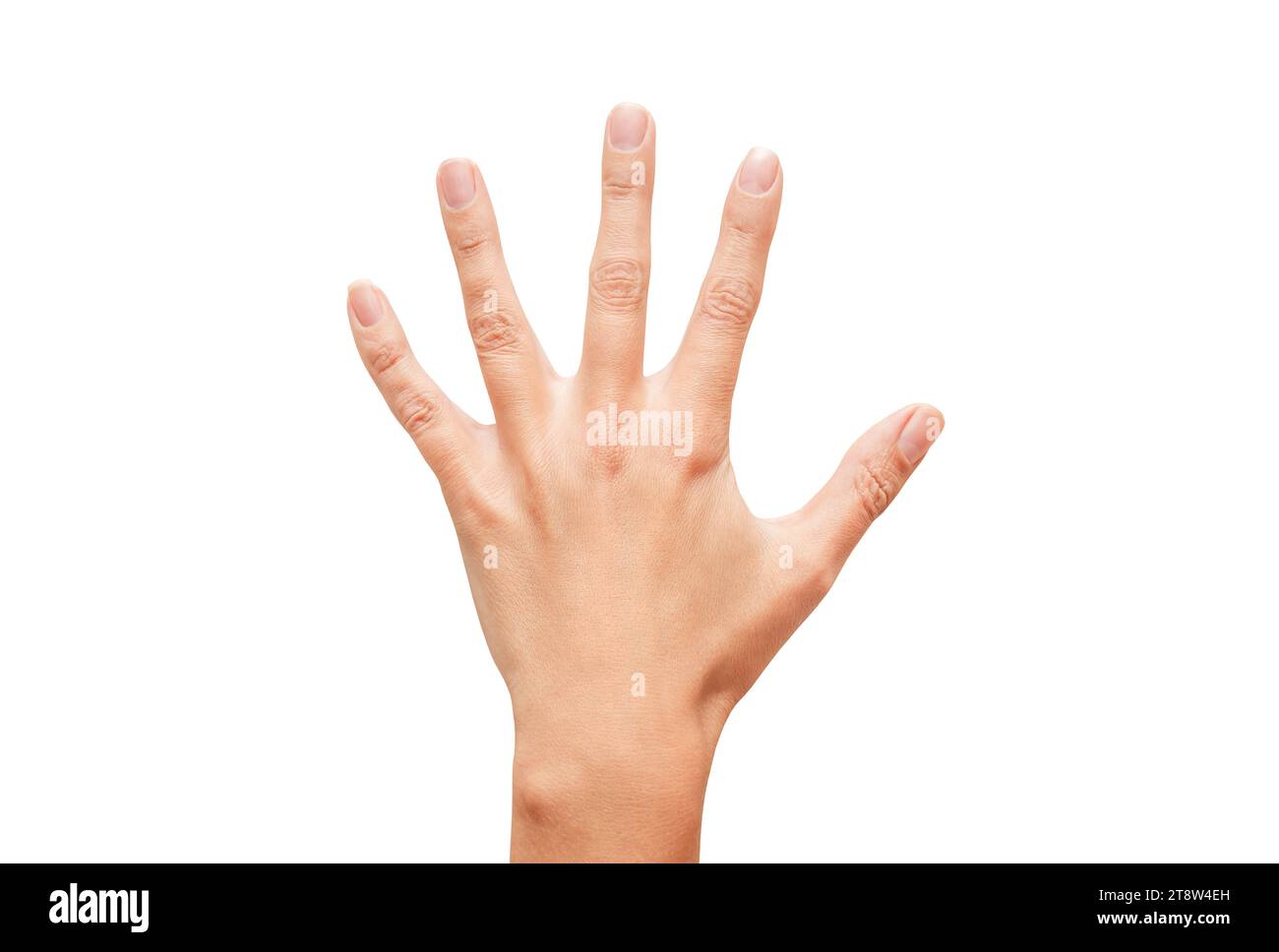 Woman's hand, well groomed, with fingers spread apart, isolated on