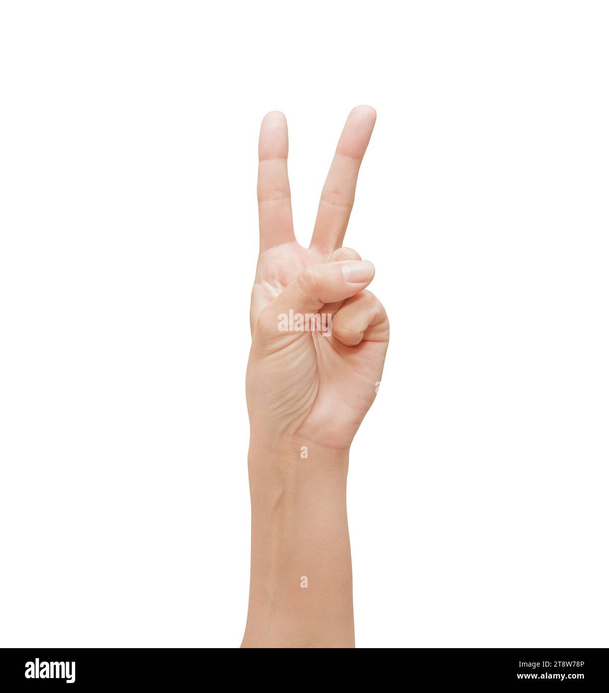 Woman palm hand, victory sign, two fingers pointing upwards, isolated ...