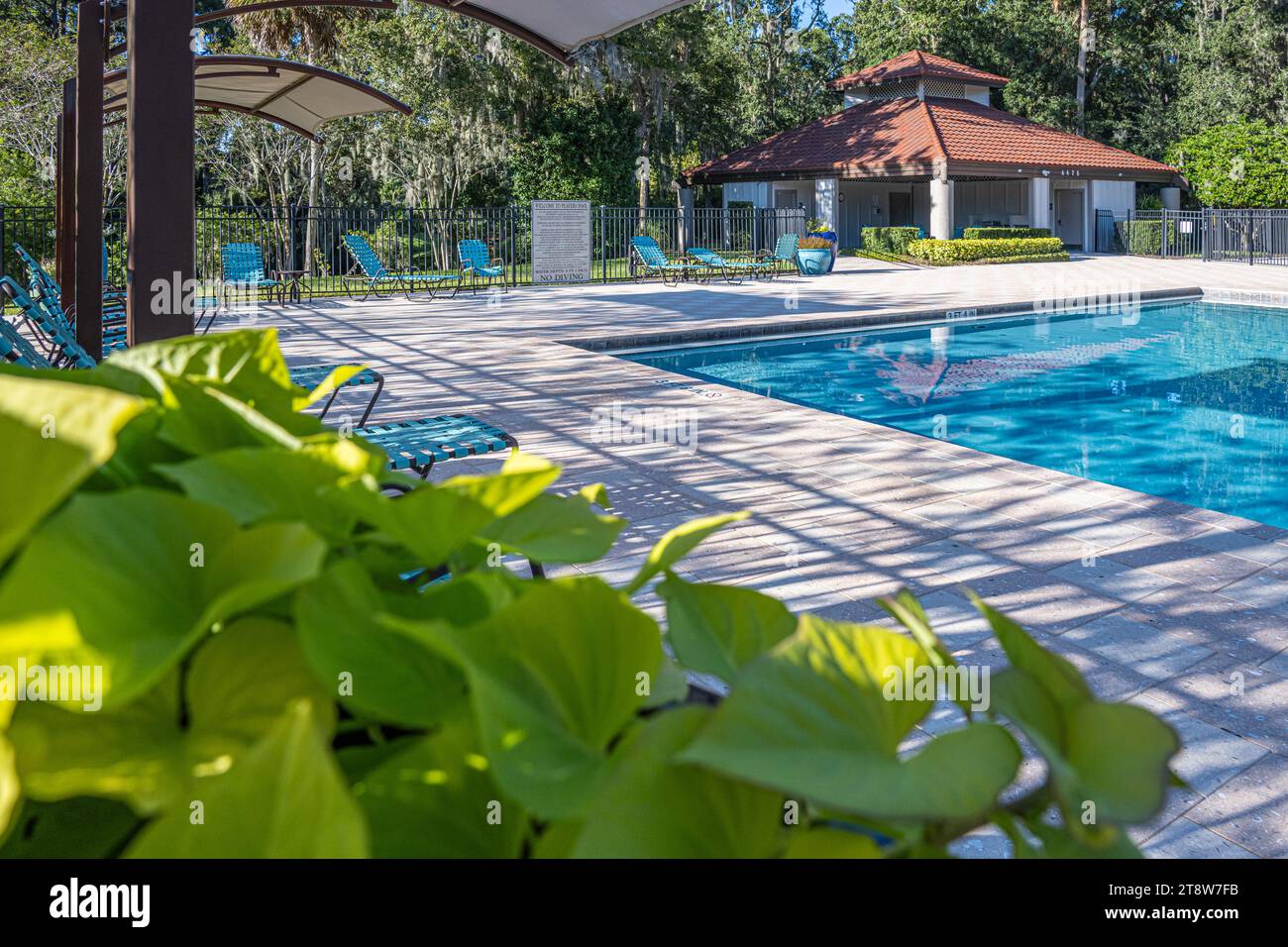 Private community pool at Sawgrass Players Club in Ponte Vedra Beach, Florida. (USA) Stock Photo