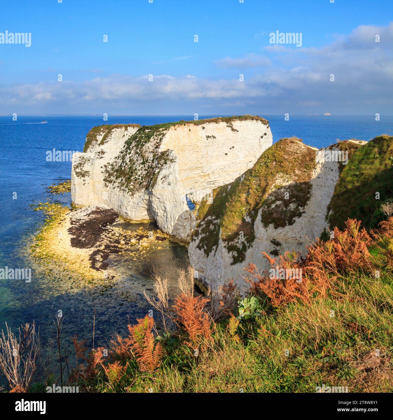 Old harry rocks dorset hi-res stock photography and images - Alamy