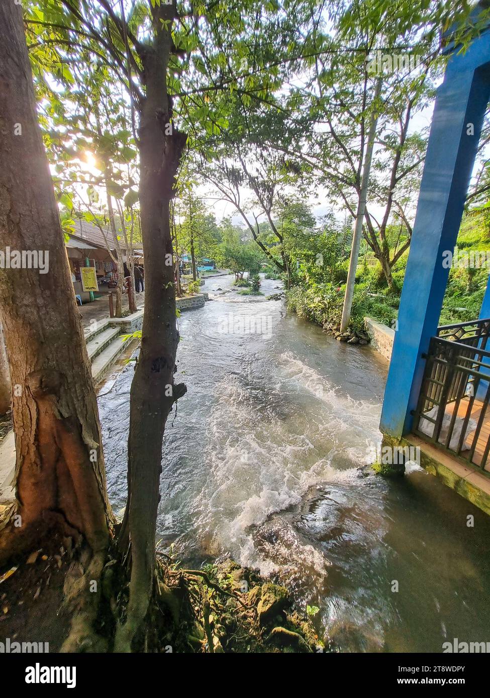 River stream at the Sumber Maron, Malang, East Java, Indonesia Stock ...