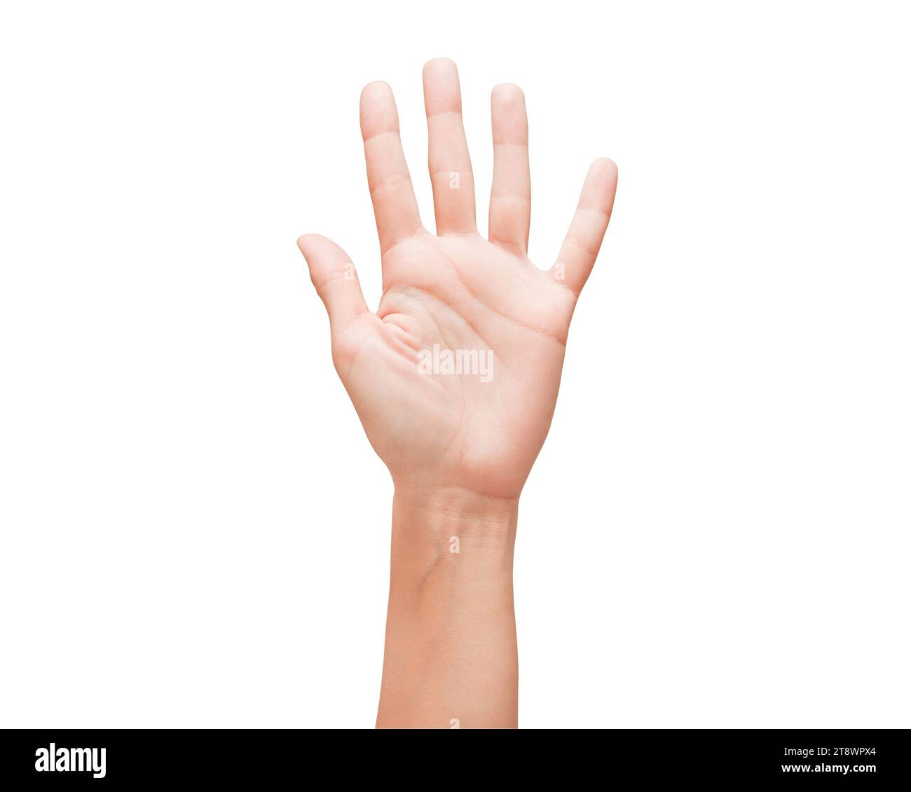 Splayed Woman hand an open palm showing splayed five fingers, female well ...