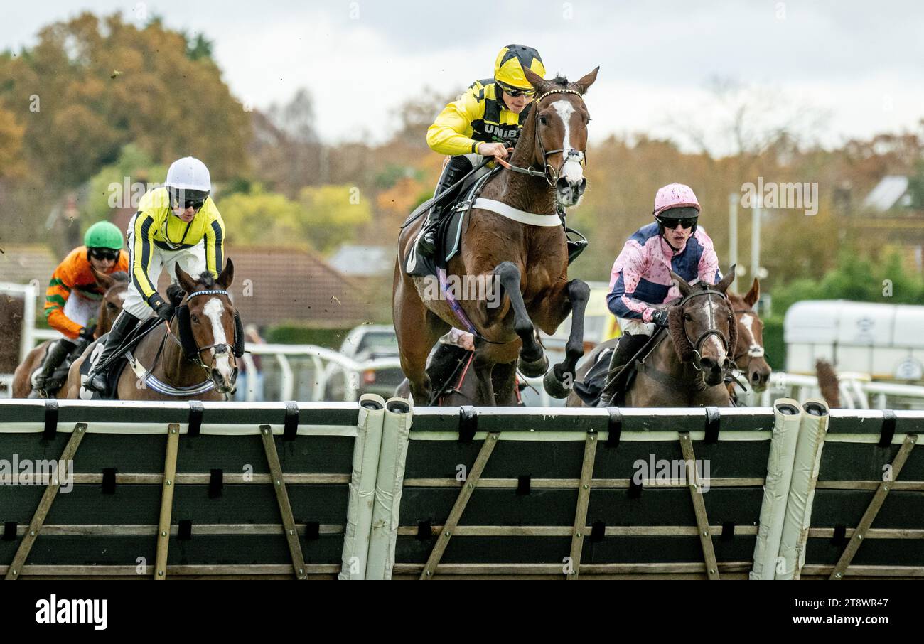 Horse racing action at Plumpton Racecourse, Sussex, UK. Stock Photo