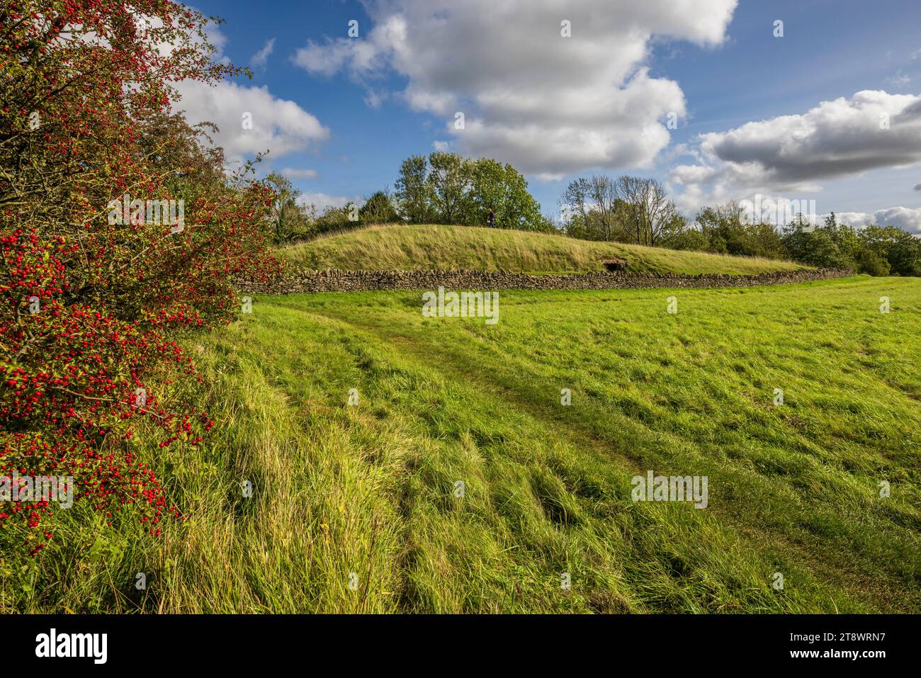Belas Knap Neolithic Long Barrow on Cleeve Hill in the Cotswolds AONB, Gloucestershire Stock Photo