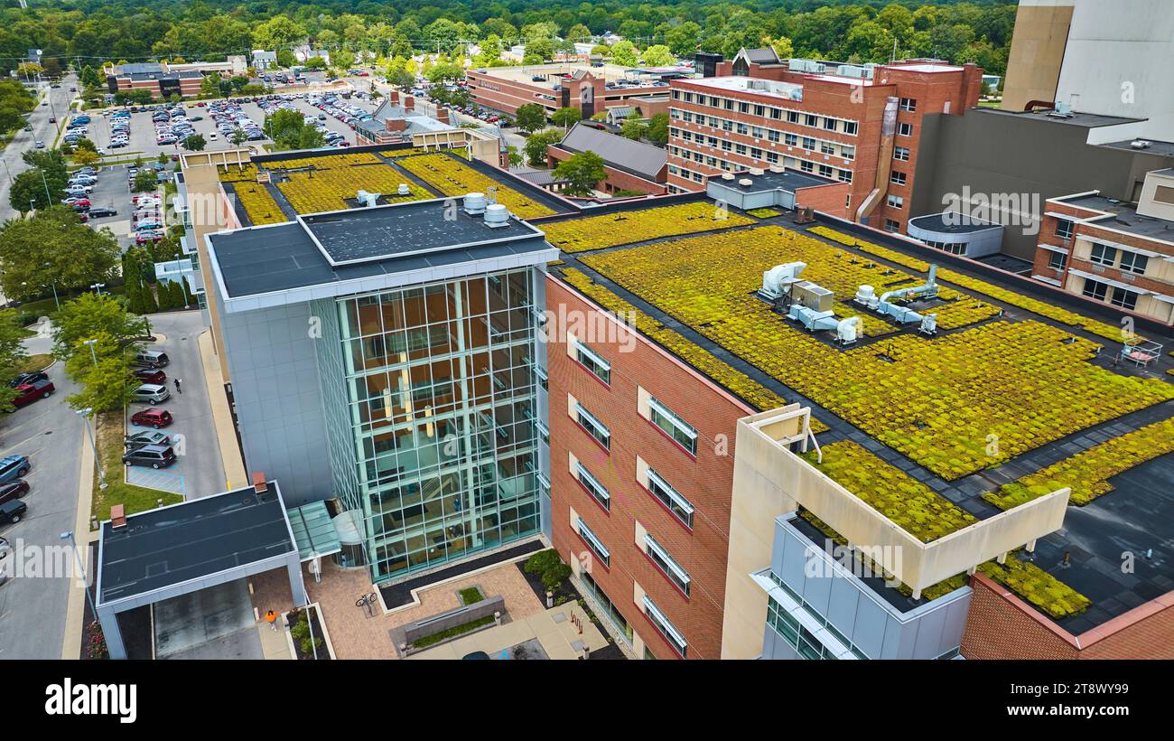 Green rooftop building ball hi-res stock photography and images - Alamy