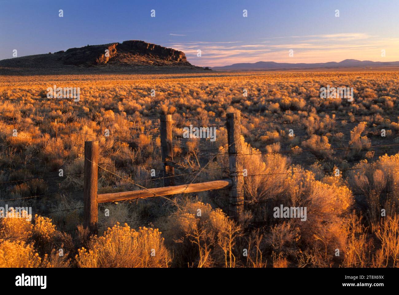 Ranch fence, Christmas Valley National Back Country Byway, Oregon Stock