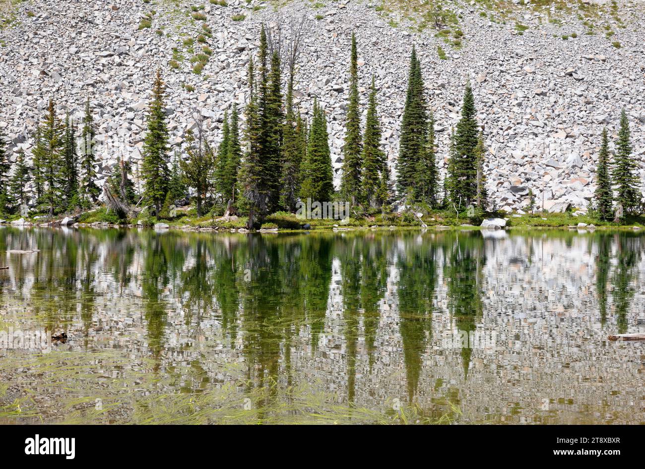 OR02648-00....OREGON -  Laverty Lake, Eagle Cap Wilderness, Wallowa-Whitman National Forest. Stock Photo