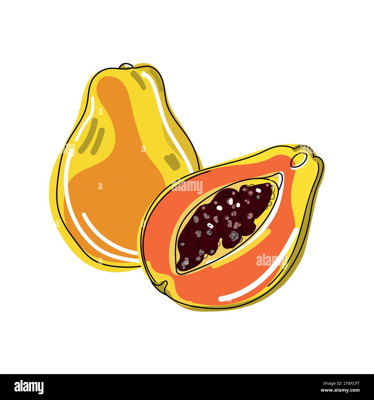 Papaya drawing hi-res stock photography and images - Alamy