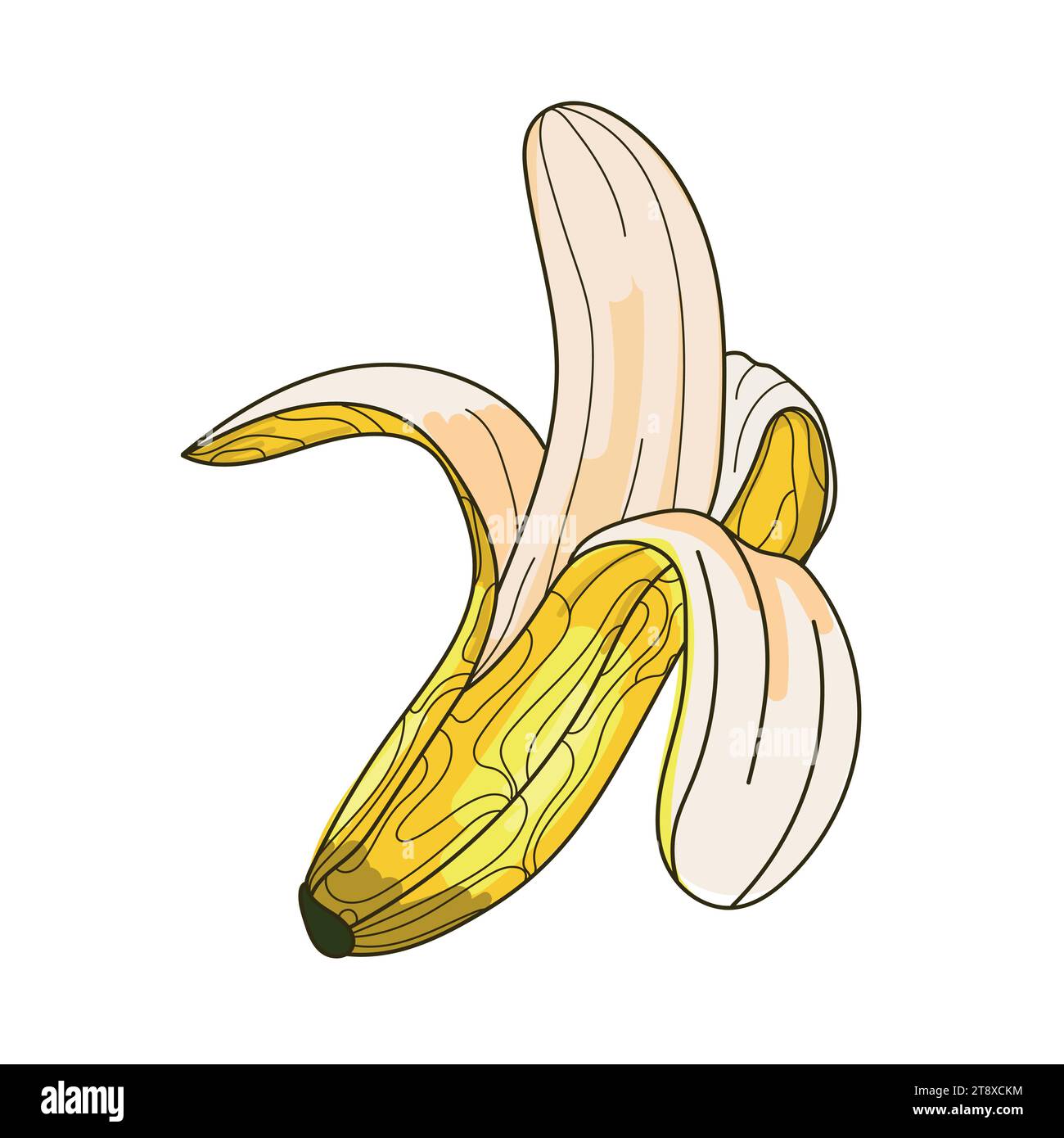 Sketch open banana icon vector illustration.Abstract decorative image