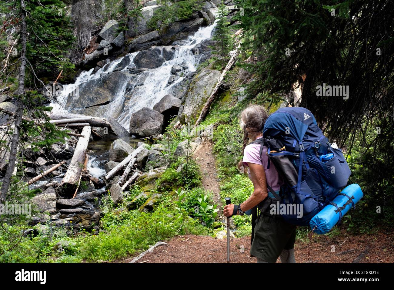 OR02667-00....OREGON - Woman backpacking on the East Fork Lostine Trail #1662 stops to look at a trail side waterfall Wallowa-Whitman National Forest. Stock Photo
