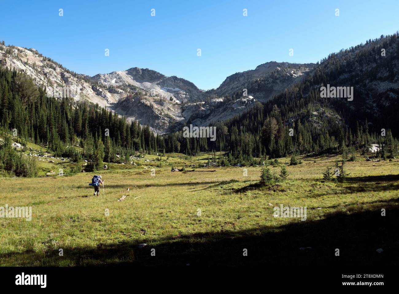 OR02669-00....OREGON - Woman backpacking on the Copper Creek Trail #1656 inthe Eagle Cap Wilderness, Wallowa-Whitman National Forest. MR# S1 Stock Photo