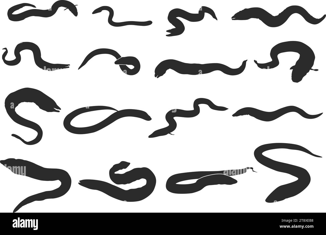 Eel fish silhouette, Moray eel fish silhouette, European eel silhouette, Moray eel fish svg, Eel fish vector Stock Vector