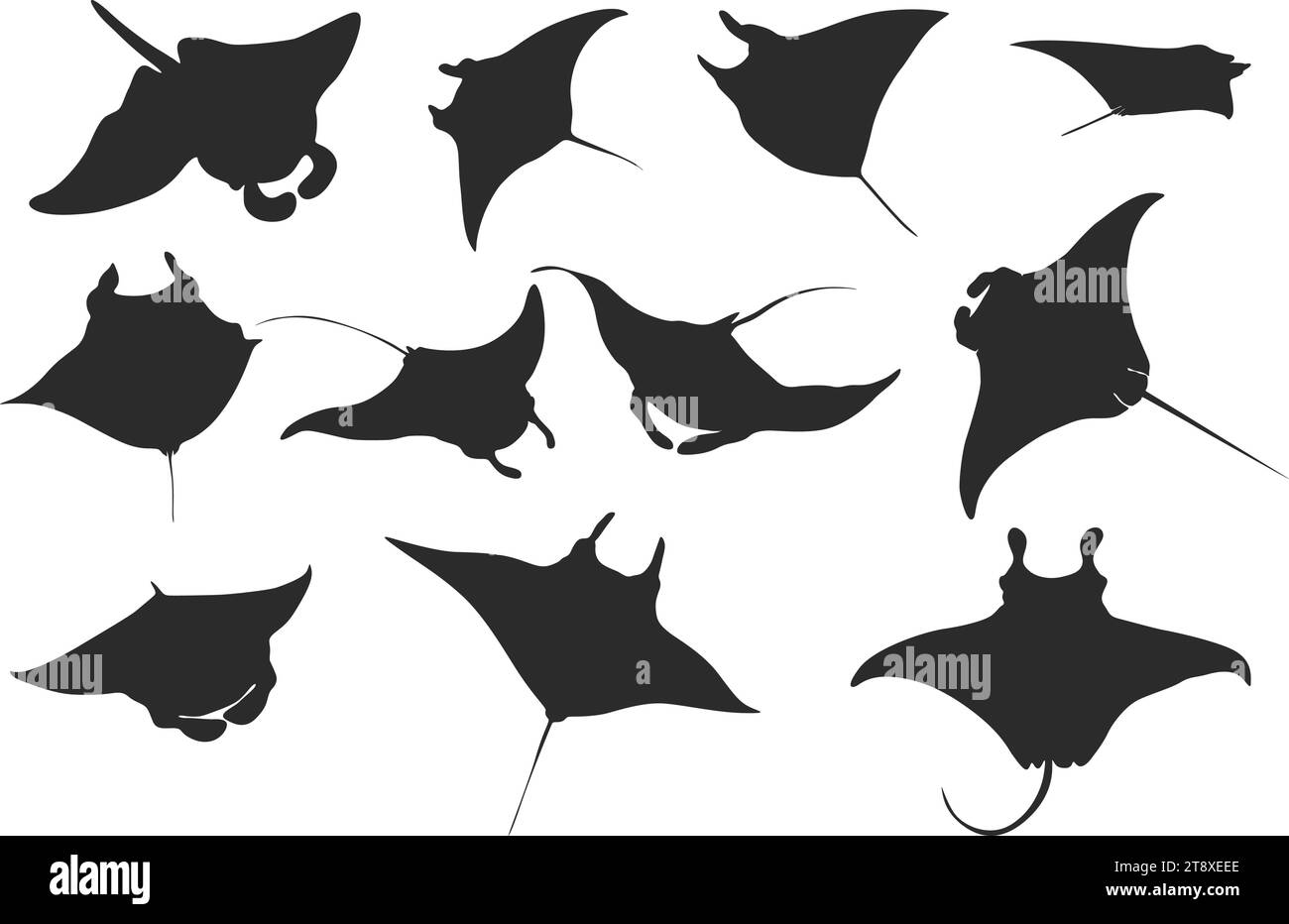 Manta ray silhouette, Manta ray vector, Manta ray clipart, Stingray icon bundle. Stock Vector