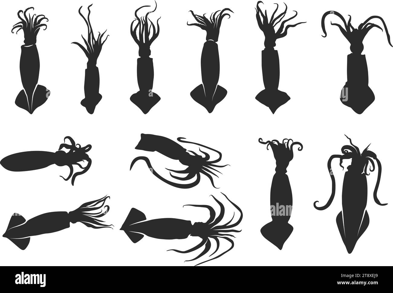 Squid silhouette, Squid clipart, Squid octopus silhouette, Squid vector illustration, Squid icon bundle. Stock Vector