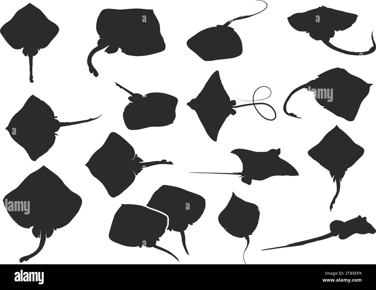 Skate fish silhouette, Ray fish silhouette, Ray fish vector, Ray fish