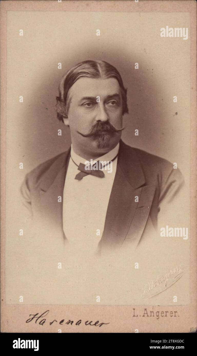 Carl Hasenauer (1833-1894), architect, Ludwig Angerer (1827-1879 ...