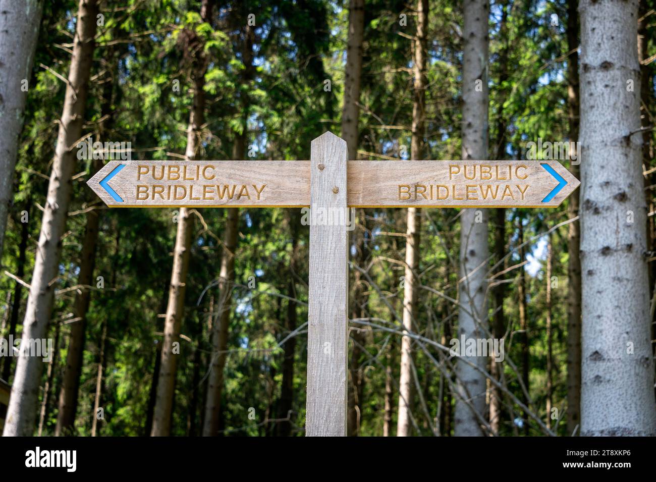 Public bridleway wooden sign post Stock Photo