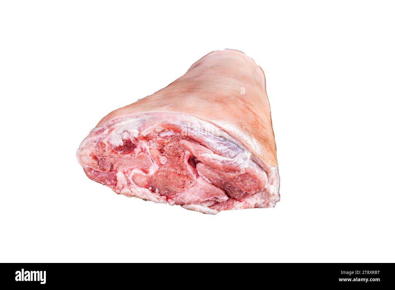 Raw pork shank knuckle in a steel tray with herbs. Isolated, white