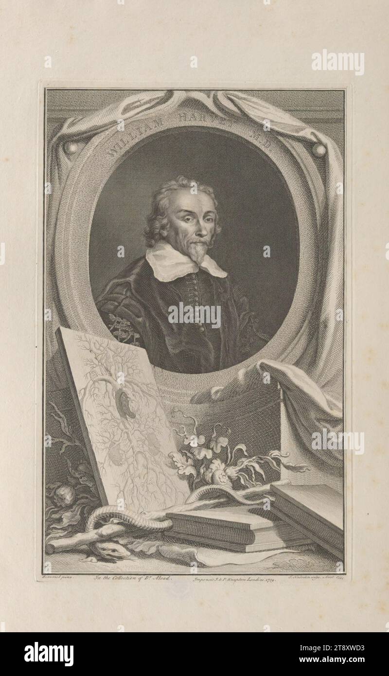 WILLIAM HARVEY M. D.', Jakob Houbraken (1698-1780), copper engraver, 1739, paper, copperplate engraving, height 49, 8 cm, width 32, 6 cm, plate size 37, 2×23, 5 cm, Inscription, 'Bemmel pinx.', 'In the Collection of Dr. Mead.', 'J. Houbraken sculps. Amst. 1739', 'Impensis I. & P. Knapton Londini 1739.', Fine Arts, Health Care, Estate Constantin von Wurzbach, portrait, man, physician, doctor, The Vienna Collection Stock Photo