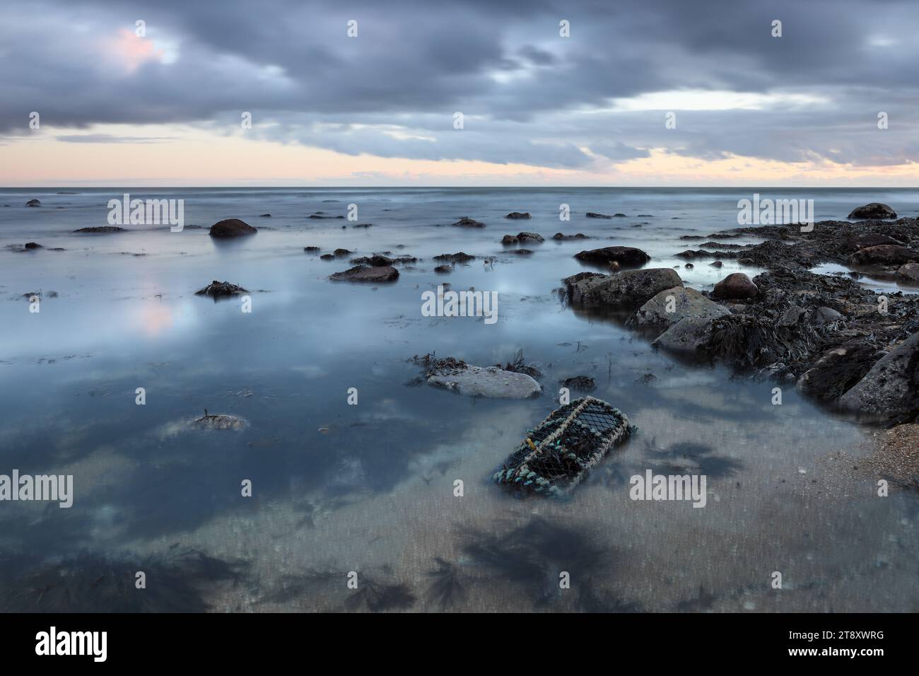 Lobster Pot in Dawn Light Washed up on Kingsbarns Beach, Fife, East Coast of Scotland, UK Stock Photo