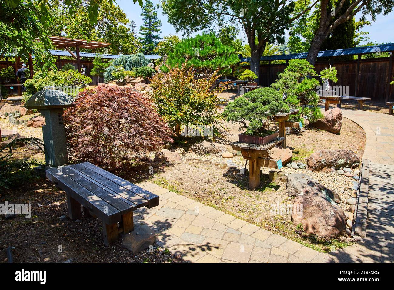 Bonsai trees and plants along brick stone path in Japanese styled