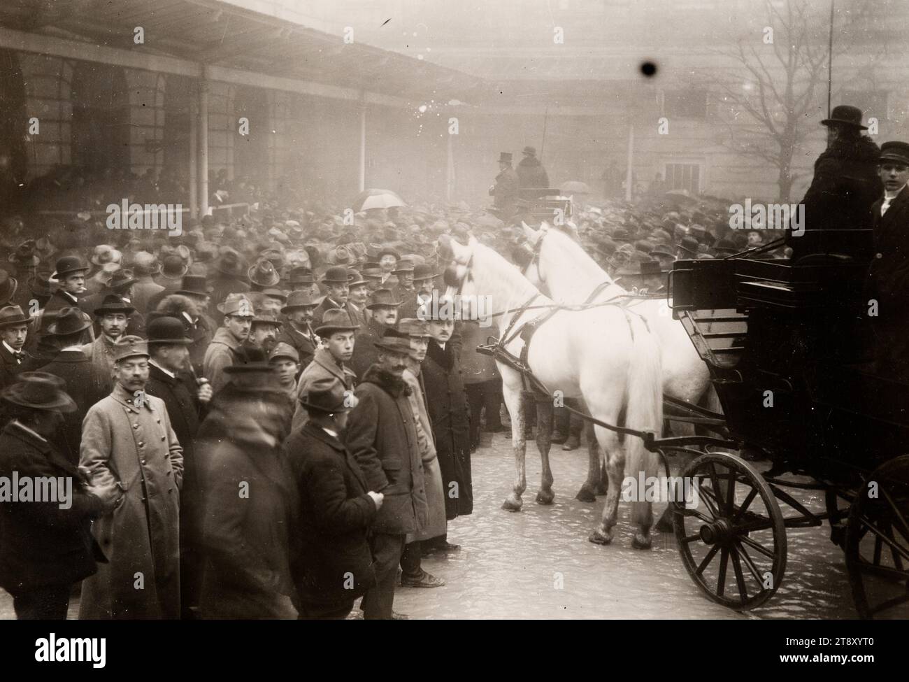 Auction of horses from the Lipizza stud of the former Austrian court, Richard Hauffe (1878-1933), Photographer, Date around 1920, photography, horse, auction sale, public sale, The Vienna Collection Stock Photo