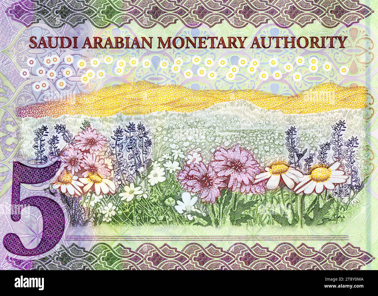 Fragment of the reverse side with field of flowers of the polymer 5 SAR five Saudi Arabia riyals banknote Stock Photo