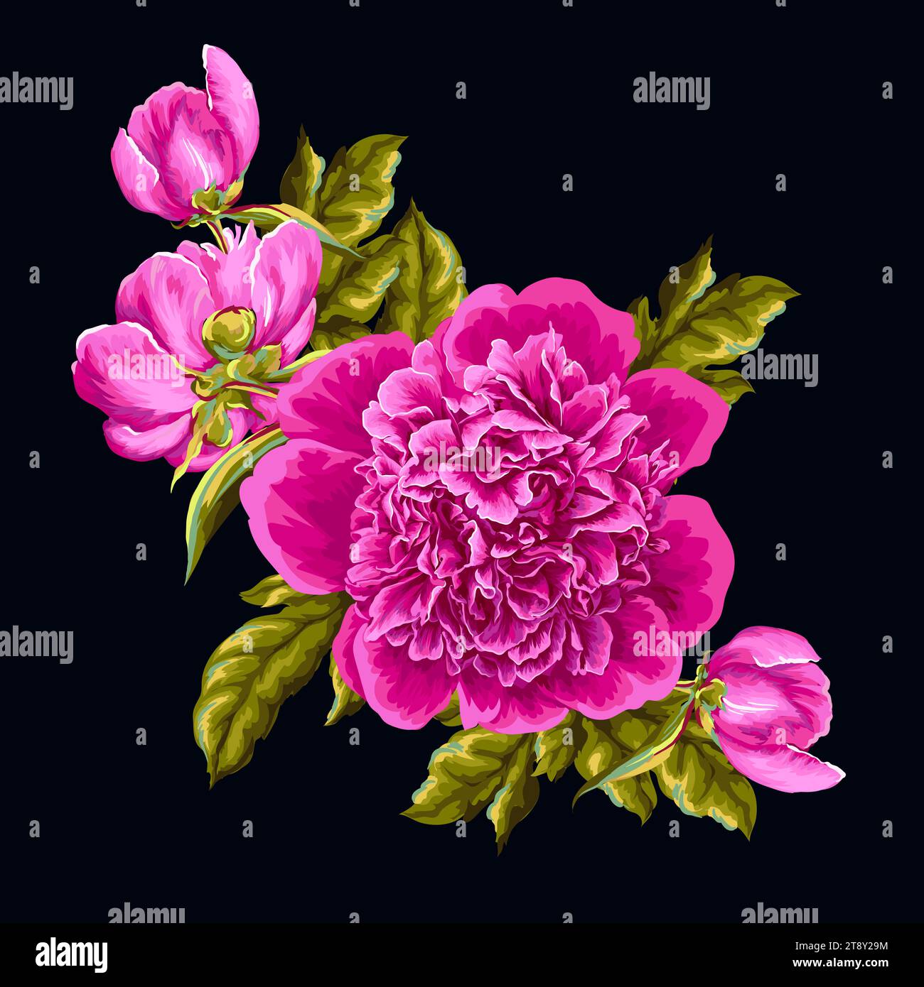 Realistic pink peony isolated. Vector Stock Vector Image & Art - Alamy