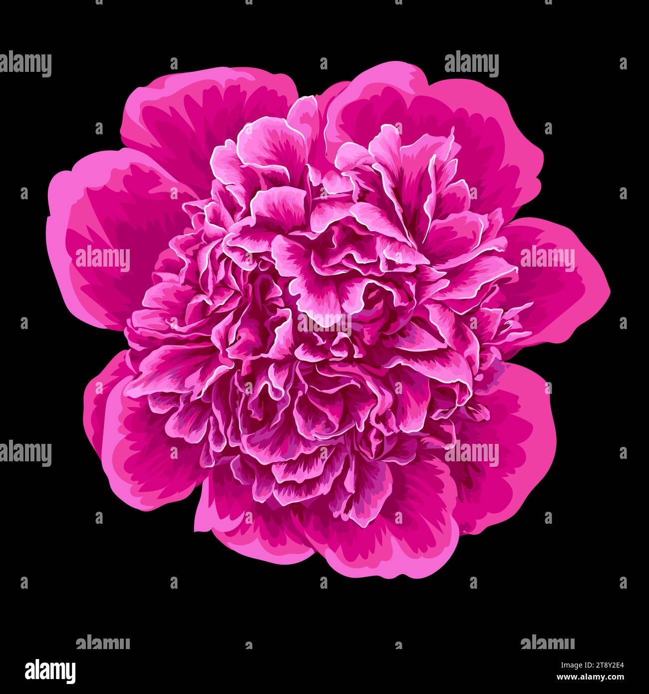Realistic pink peony isolated. Vector Stock Vector Image & Art - Alamy