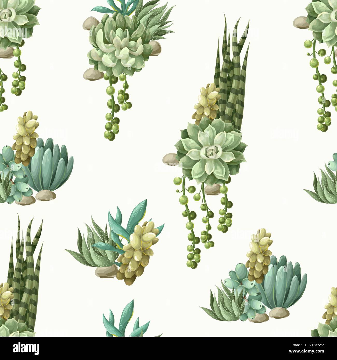 Seamless pattern with succulents and cactus. Vector Stock Vector Image ...