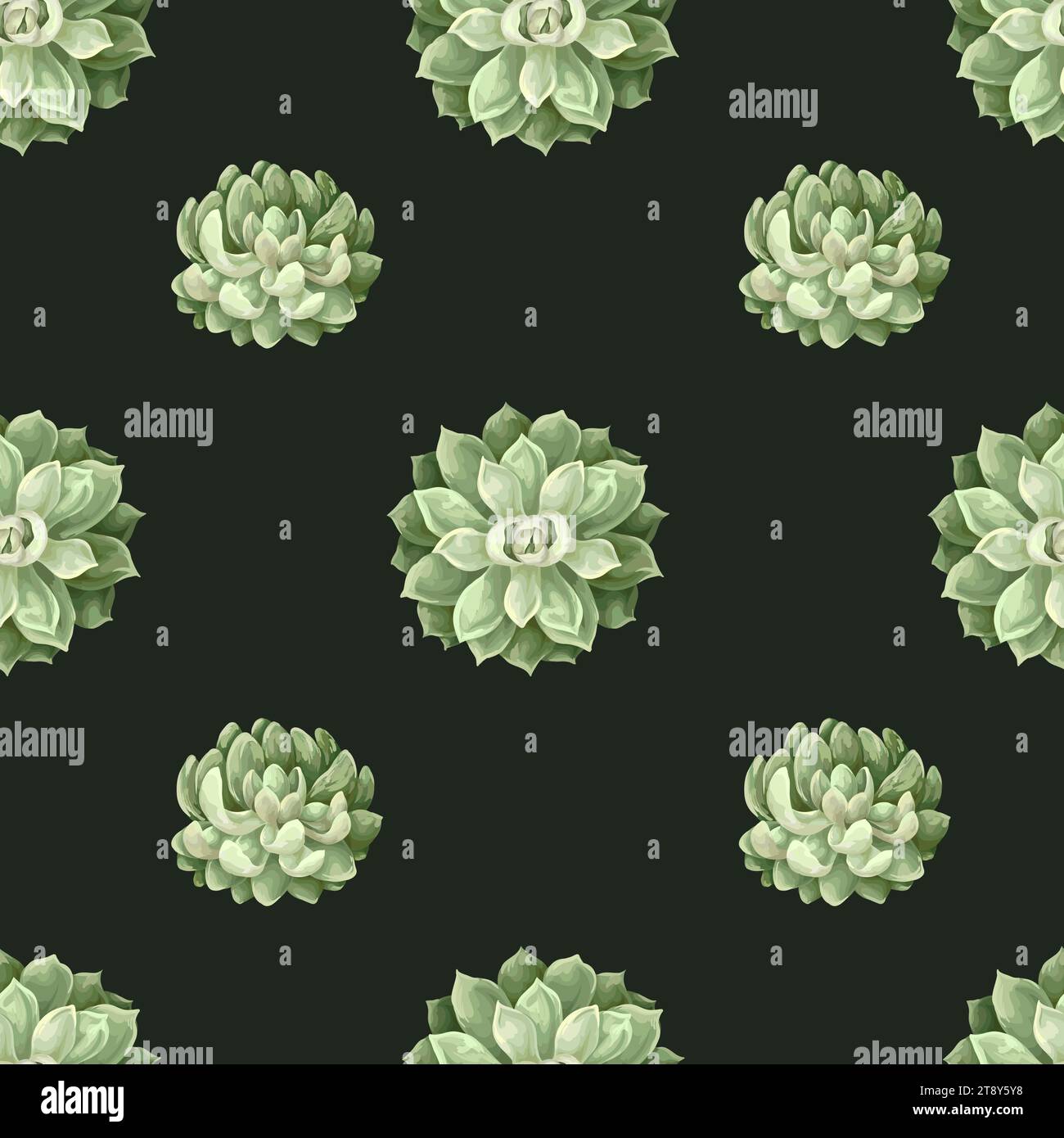 Seamless pattern with succulents and cactus. Vector Stock Vector Image ...