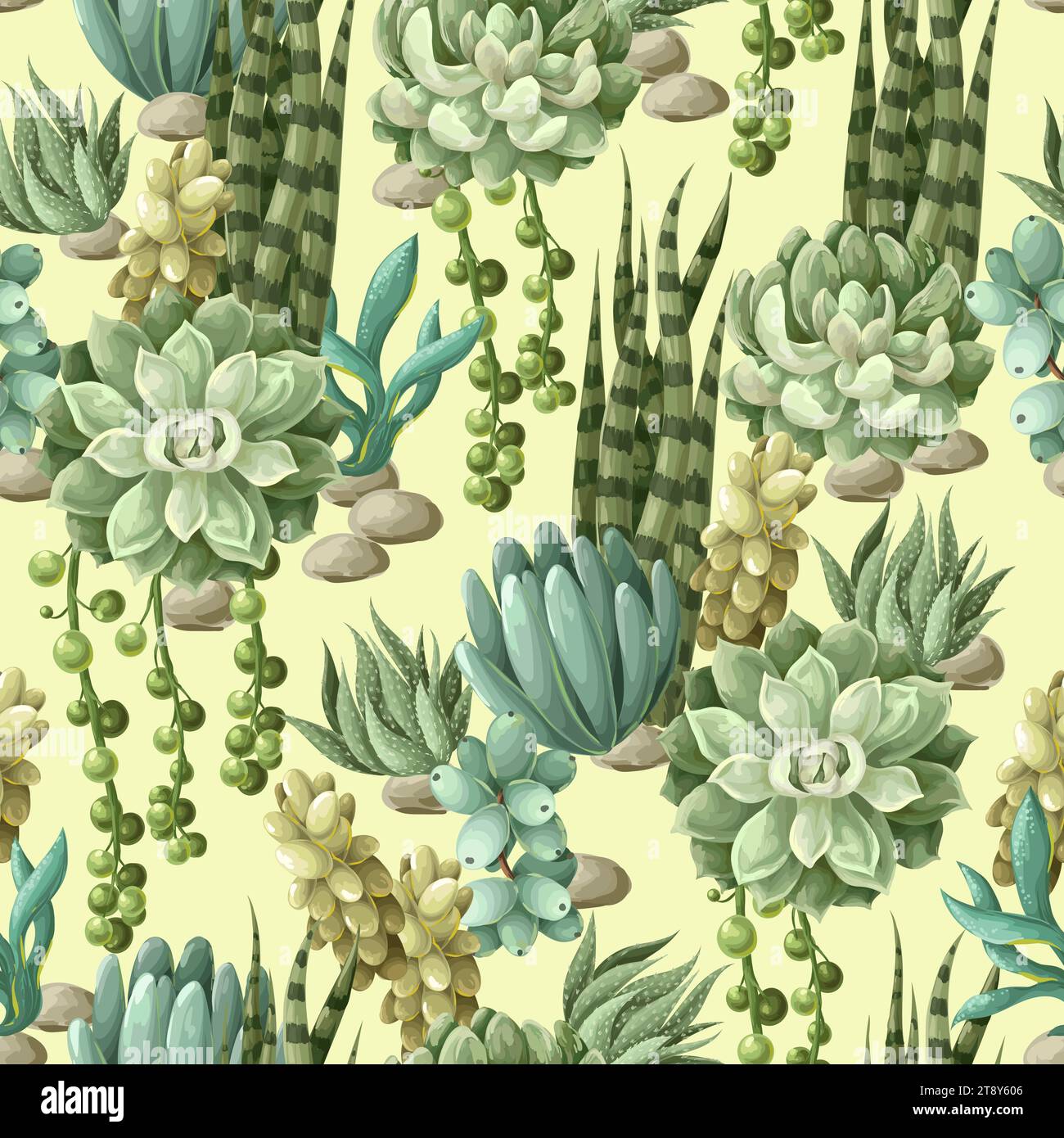 Seamless pattern with succulents and cactus. Vector Stock Vector Image ...